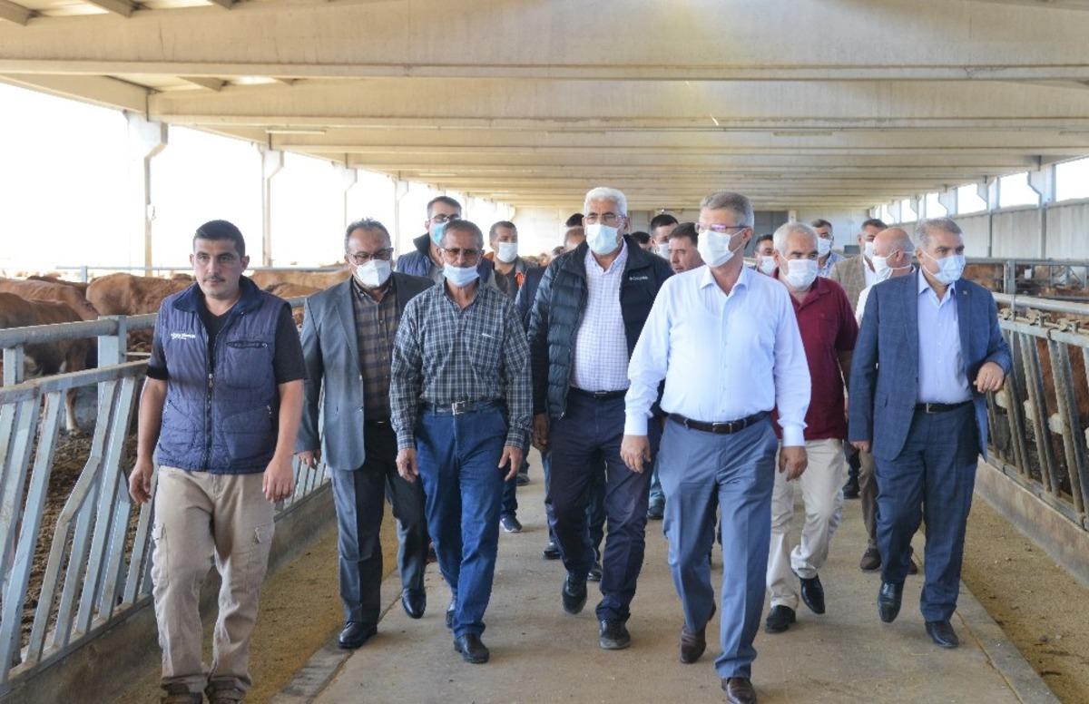 Kayseri Şeker, &ccedil;ift&ccedil;iye hayvancılık noktasında destek verecek