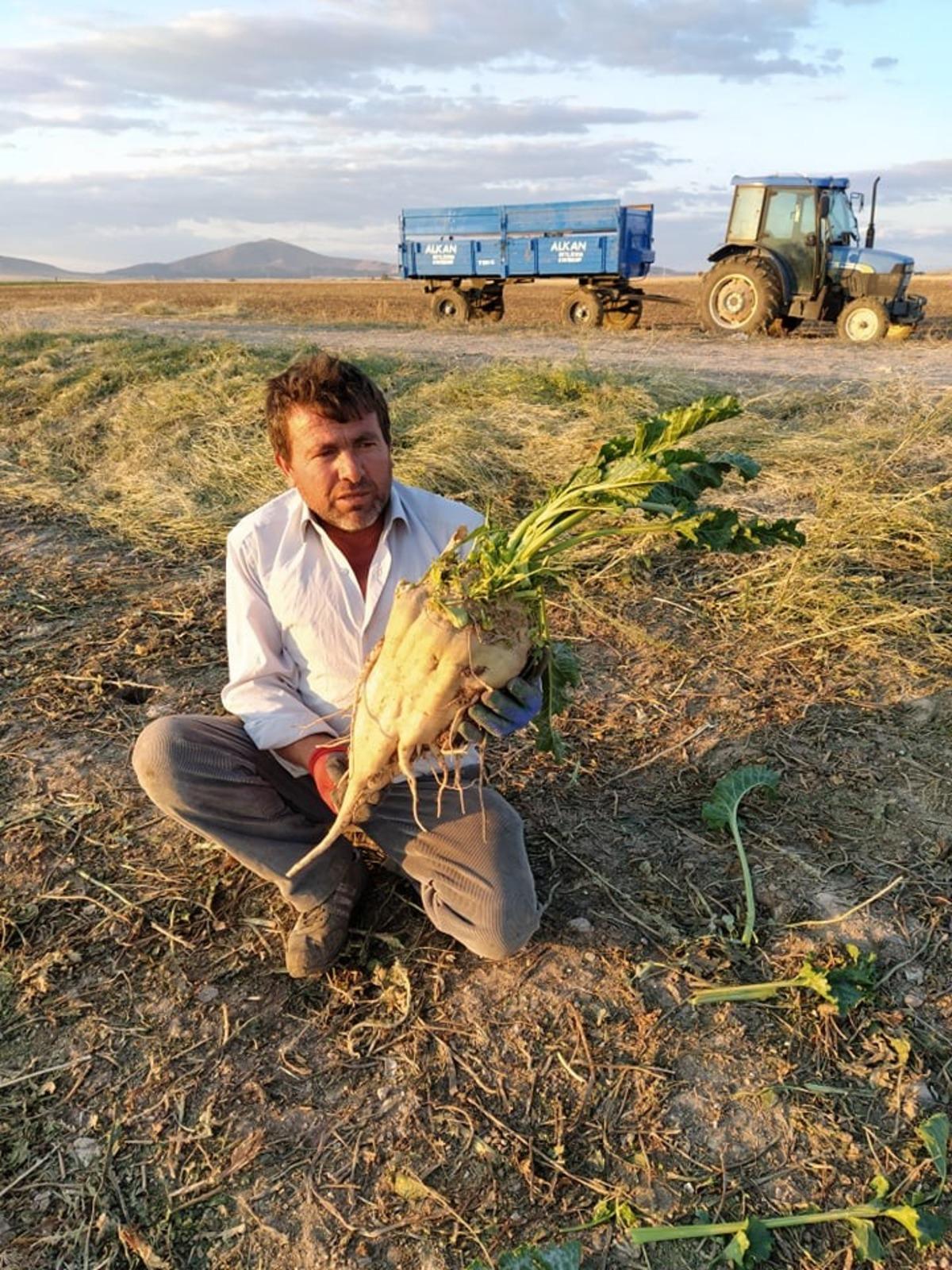 Altıntaş&rsquo;ta pancar hasadı