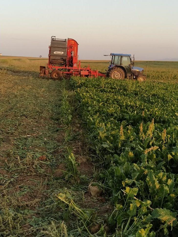 Altıntaş’ta pancar hasadı G3