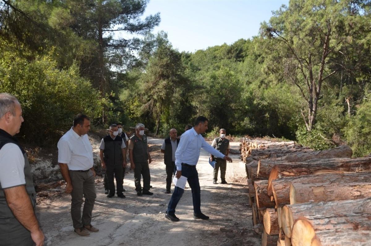 Orman B&ouml;lge M&uuml;d&uuml;r&uuml; Akduman&rsquo;dan Mersin ormanlarında inceleme
