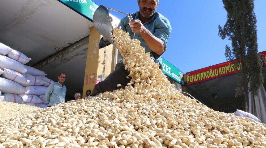 Kilosu 55 lira! Şanlıurfa'da fıstıkları koyacak yer kalmadı