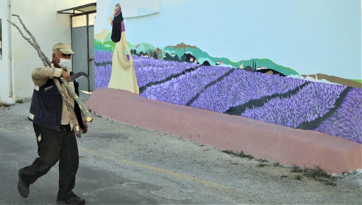 Evlerin duvarları lavanta bah&ccedil;esine d&ouml;n&uuml;şt&uuml;