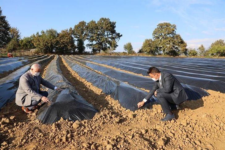 Ahududu ve böğürtlen yetiştiriciliği merkezi olacak G1