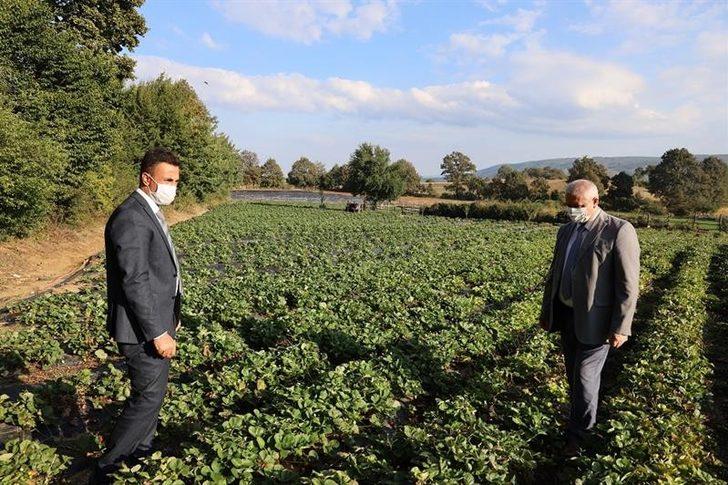 Ahududu ve böğürtlen yetiştiriciliği merkezi olacak G2