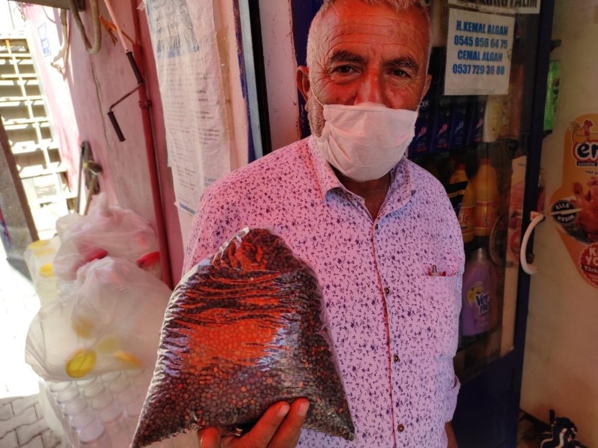 Dağdan topladıkları menengi&ccedil;le ge&ccedil;imlerini sağlıyorlar