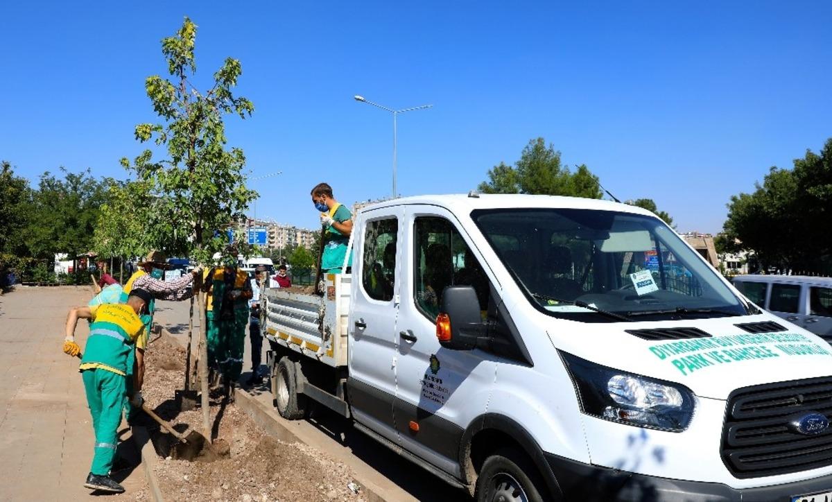 Diyarbakır&rsquo;da cadde  yeşillendirme &ccedil;alışmaları