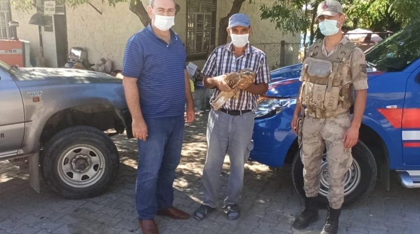 Yaralı şahin ekipleri teslim edildi