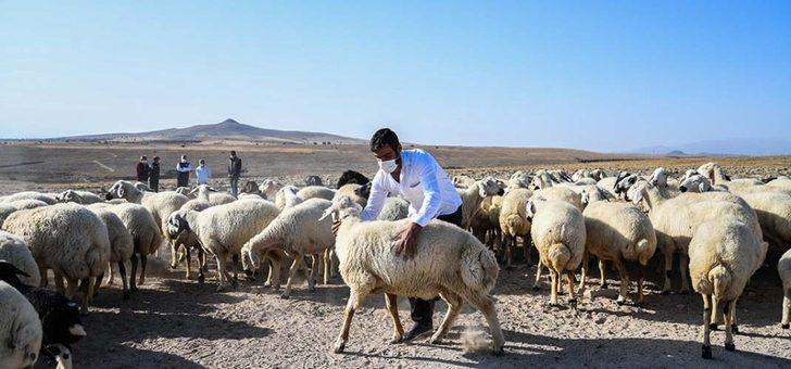 Genç Çiftçi Desteği Umut Oldu G2