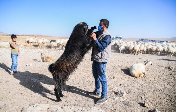 Genç Çiftçi Desteği Umut Oldu G3