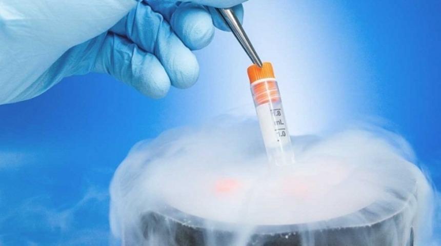 Yumurta dondurma nedir? Yumurta dondurma nasıl yapılır? Yumurta dondurma kimlere yapılır?