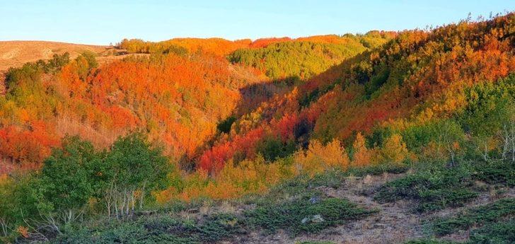 Nemrut Krater Gölünde sonbahar güzelliği G1