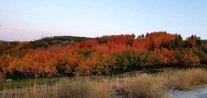Nemrut Krater Gölünde sonbahar güzelliği G2