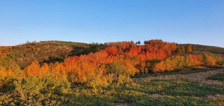 Nemrut Krater Gölünde sonbahar güzelliği G4