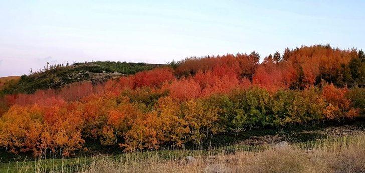 Nemrut Krater Gölünde sonbahar güzelliği G5