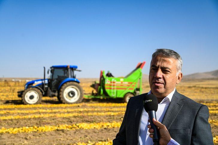 Tomarza’nın altını ’Kabak Çekirdeği’nin hasadına başlandı G2