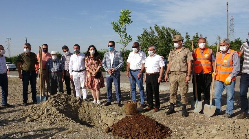 Kozan&rsquo;ın girişine turun&ccedil; ağa&ccedil;ları dikildi