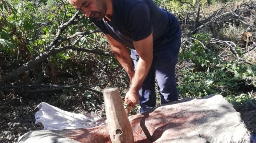 Geleneksel y&ouml;ntemle sumak &uuml;retiyorlar