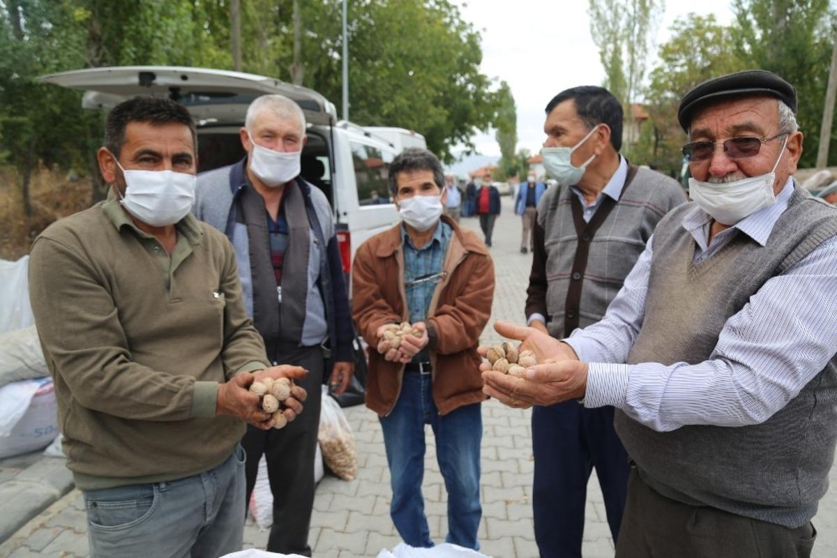 &Ccedil;ameli&rsquo;nin yerli ceviz ve fasulyesi ilgi g&ouml;rmeye devam ediyor