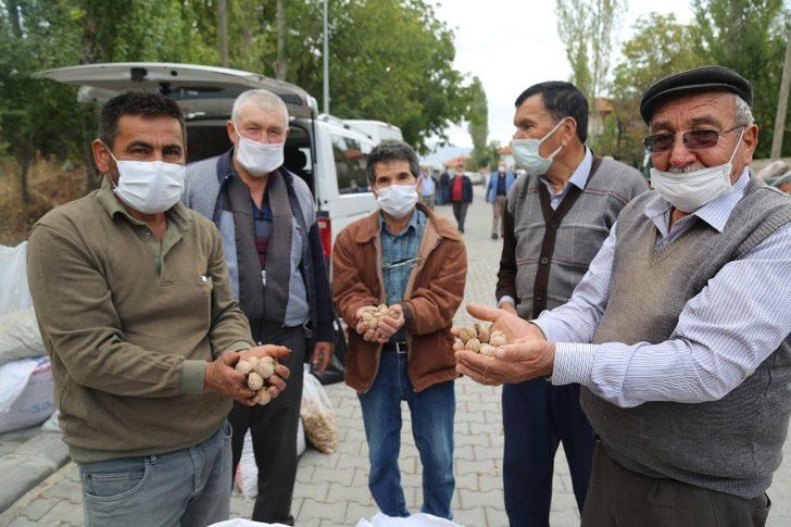 Çameli’nin yerli ceviz ve fasulyesi ilgi görmeye devam ediyor G1