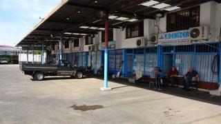 Bu balık sezonunda ilk defa yaşandı! 4-5 bin kasa gelen palamut bugün 250 kasalara kadar geriledi