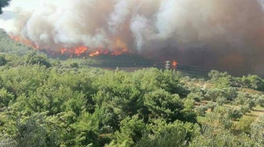 Tarım ve Orman Bakanı Bekir Pakdemirli Hatay'daki orman yangınının bilan&ccedil;osunu a&ccedil;ıkladı