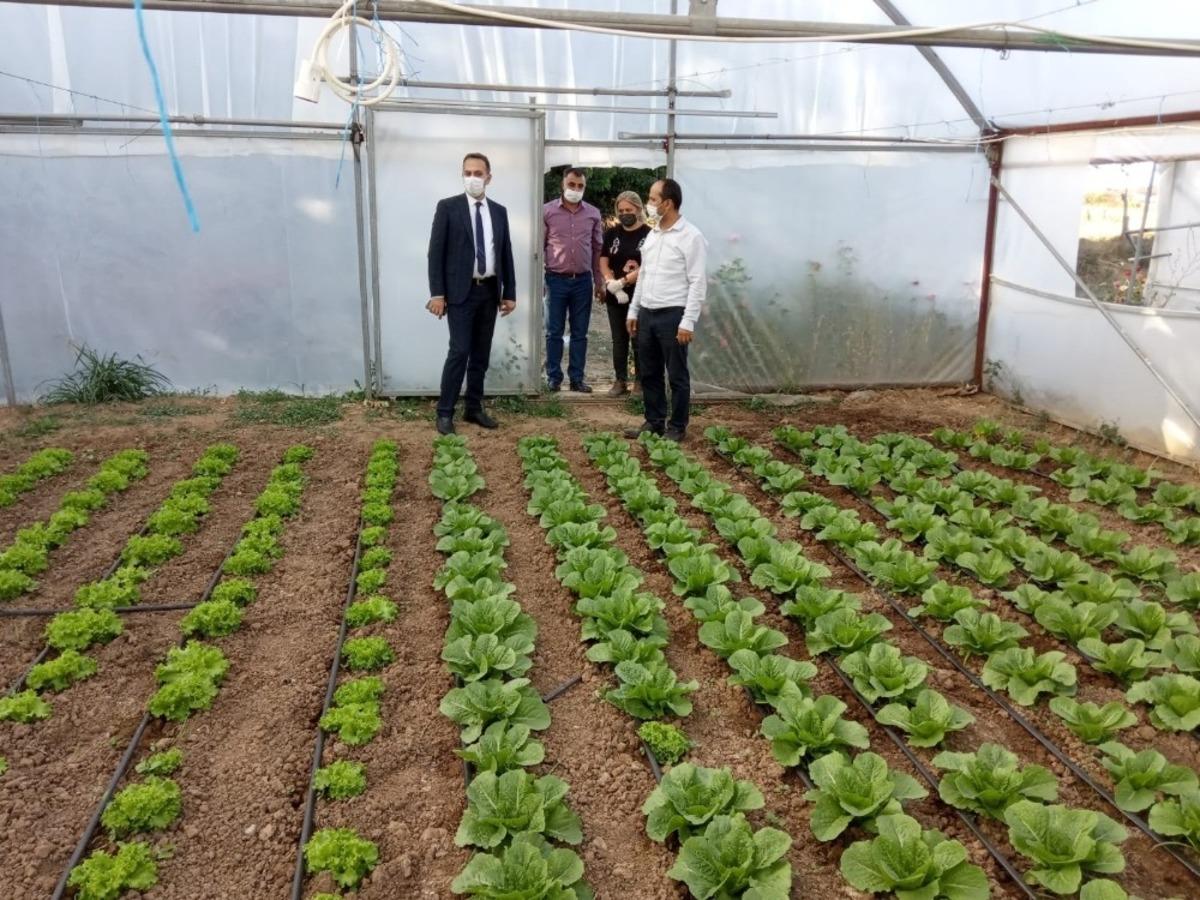 Yeşil gıda seracılıkta kış d&ouml;nemi &uuml;r&uuml;n &ccedil;eşitliliği artırıldı