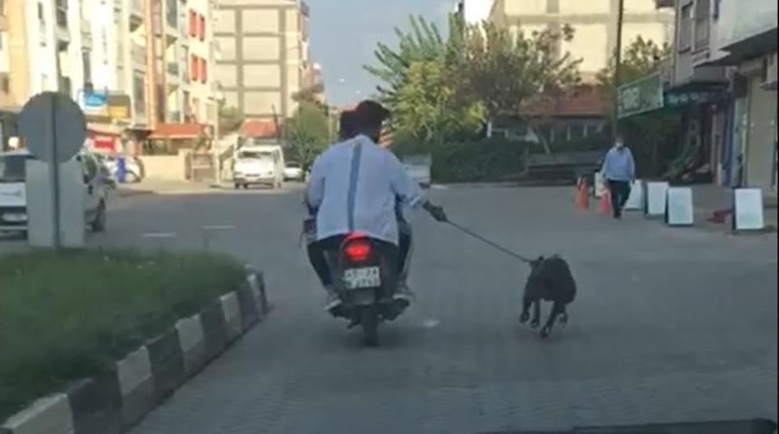 Manisa&rsquo;da tepki &ccedil;eken g&ouml;r&uuml;nt&uuml;: K&ouml;peği kilometrelerce koşturdular