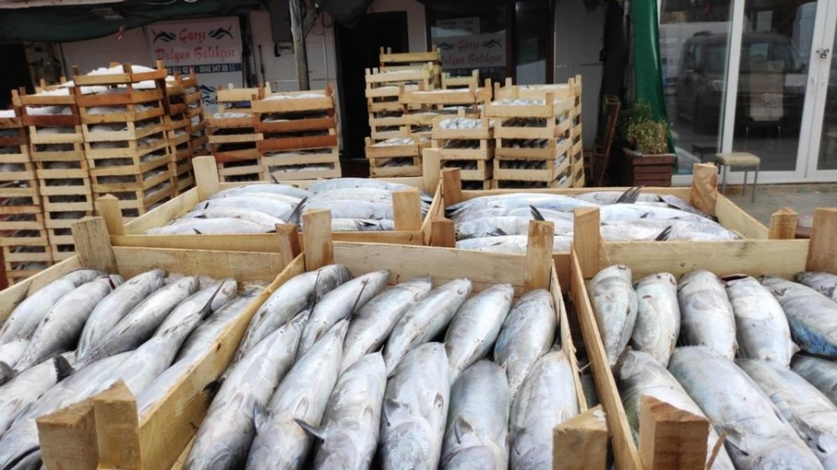 Su &uuml;r&uuml;nleri denetimleri yapılıyor