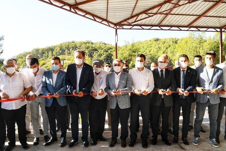 Kumluca’da ilk zeytinyağı sıkımı gerçekleştirildi G4