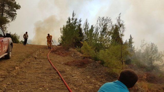 Kahramanmaraş’ta orman yangını 1