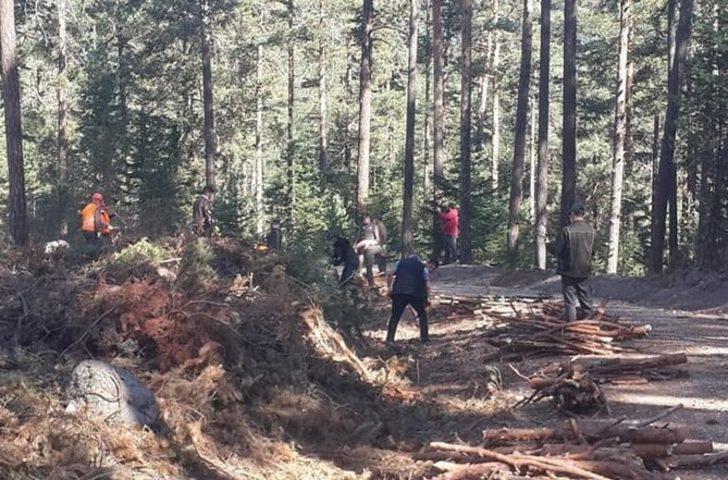 Bolu’da yardıma muhtaç aileler için odun toplandı G3