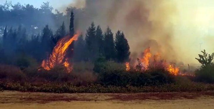 Kahramanmaraş'ta 35 hektar ormanlık alan yandı! 4 noktada daha yangın çıktı