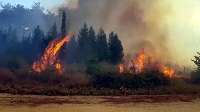 Kahramanmaraş'ta 35 hektar ormanlık alan yandı! 4 noktada daha yangın çıktı