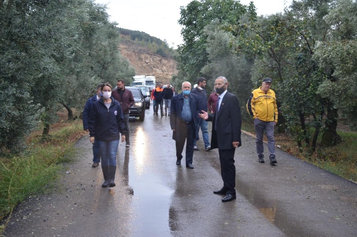 Gemlik Belediyesi bir kez daha zeytin &uuml;reticisinin yanında