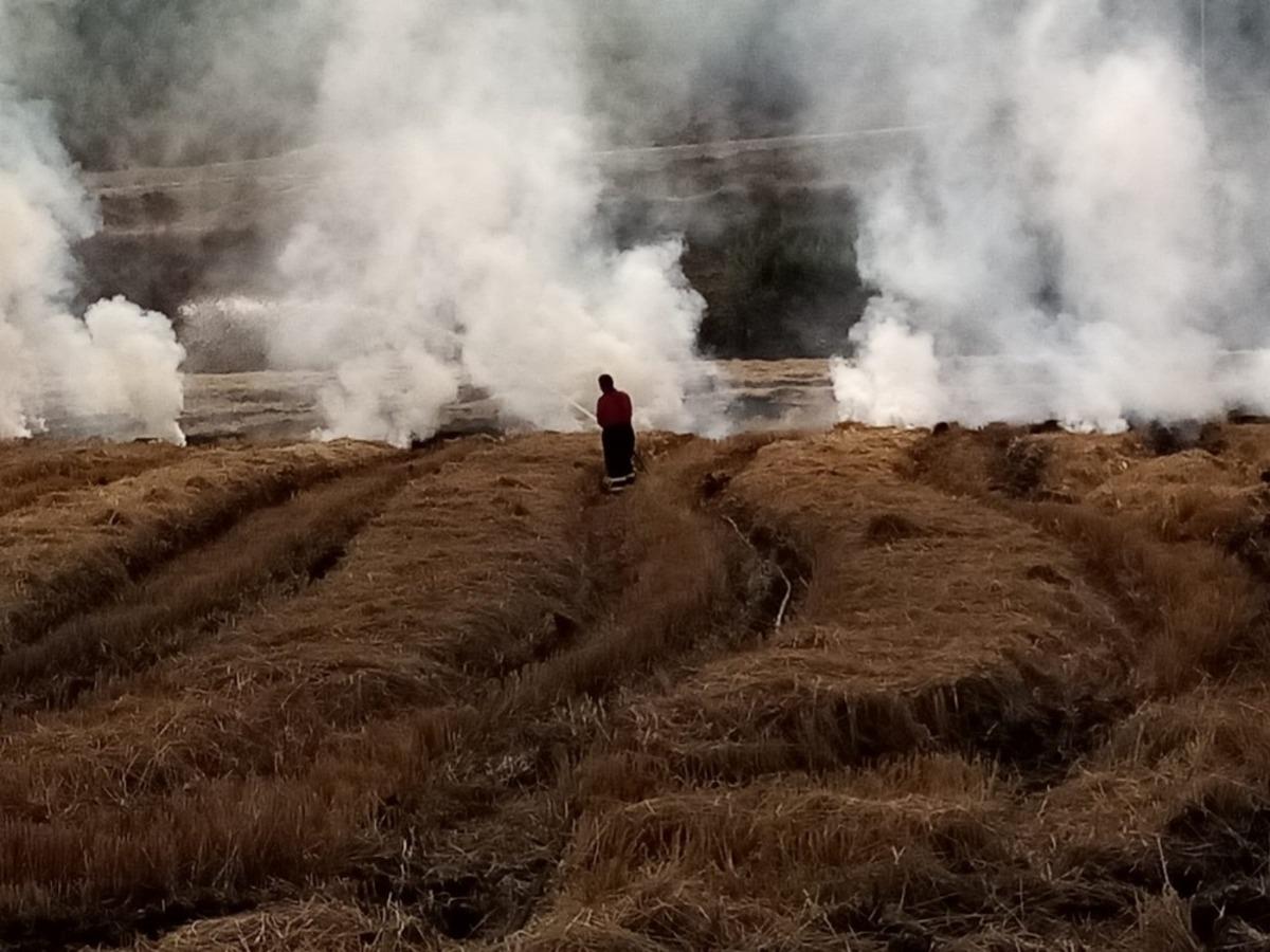 Osmancık&rsquo;ta anız yangını