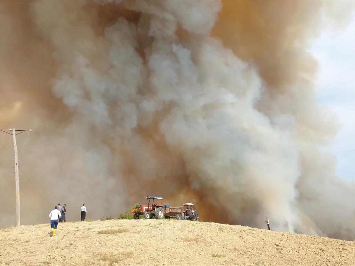 G&Uuml;NCELLEME - Osmaniye'de &ccedil;ıkan orman yangınına m&uuml;dahale ediliyor