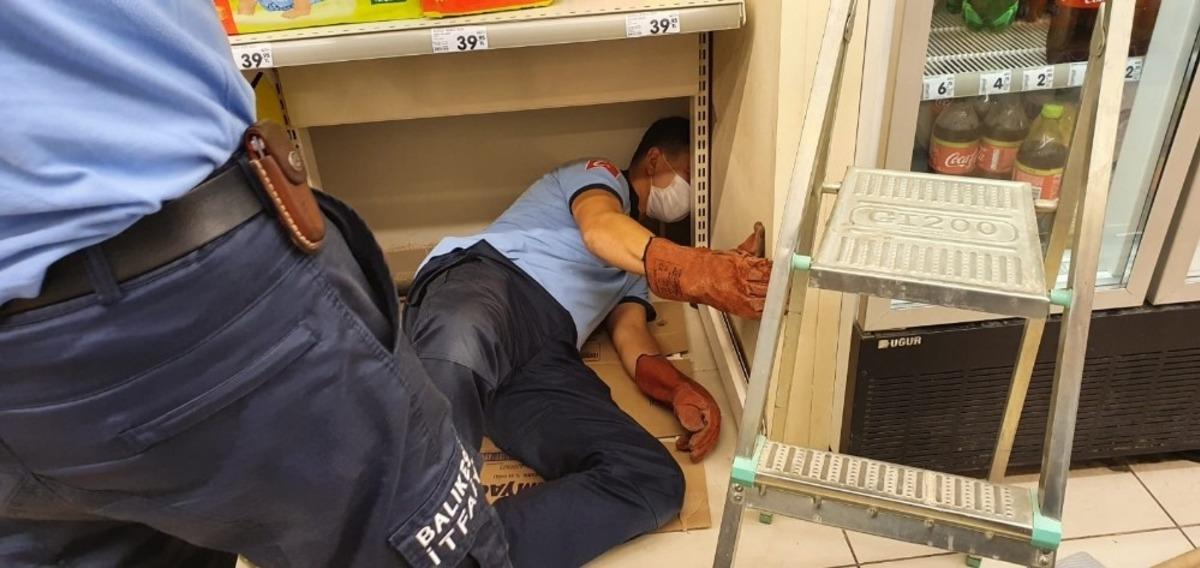 Sıkışan yavru kedilerin yardımına itfaiyeciler koştu