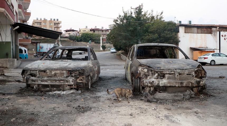 Hatay'daki yangında son durum! Yürek burkan manzara ortaya çıktı