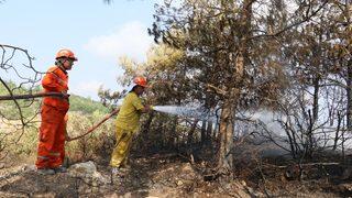 Hatay'daki yangında soğutma çalışmaları sürüyor