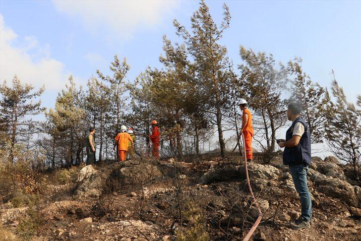 Hatay'daki yangında soğutma çalışmaları sürüyor G2