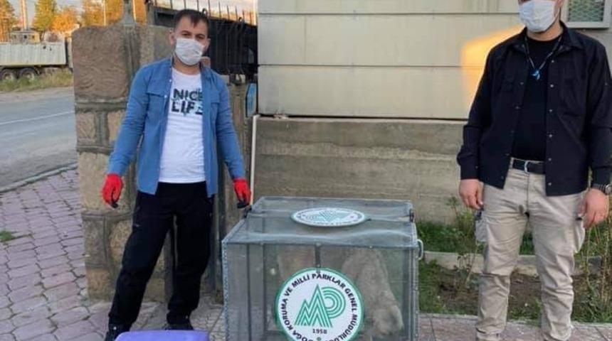 Kaymakamdan &ouml;rnek davranış