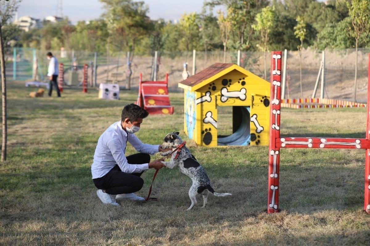 &lsquo;Pati Yolu&rsquo;na hayvan severlerden tam not