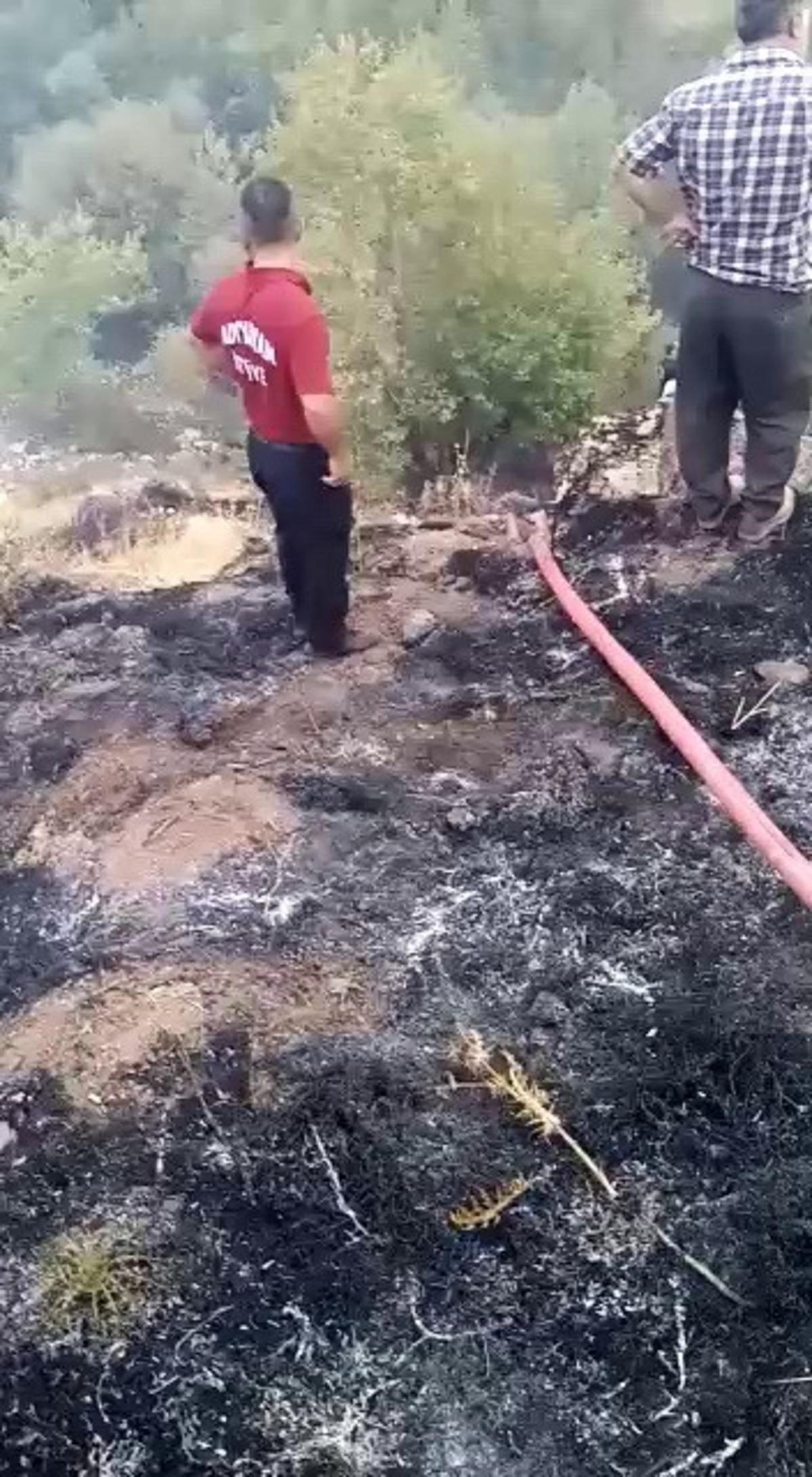 Adıyaman&rsquo;da orman yangını korkuttu