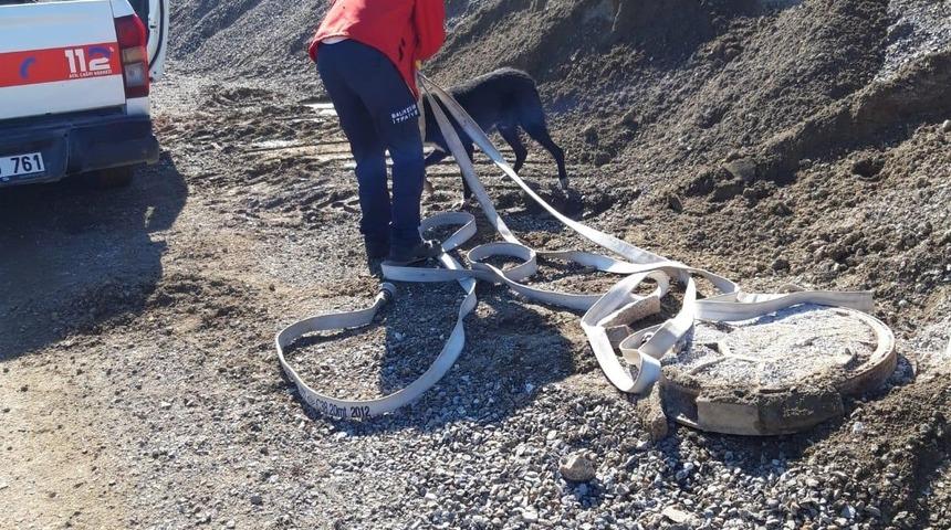 Foseptiğe düşen köpeği itfaiye kurtardı