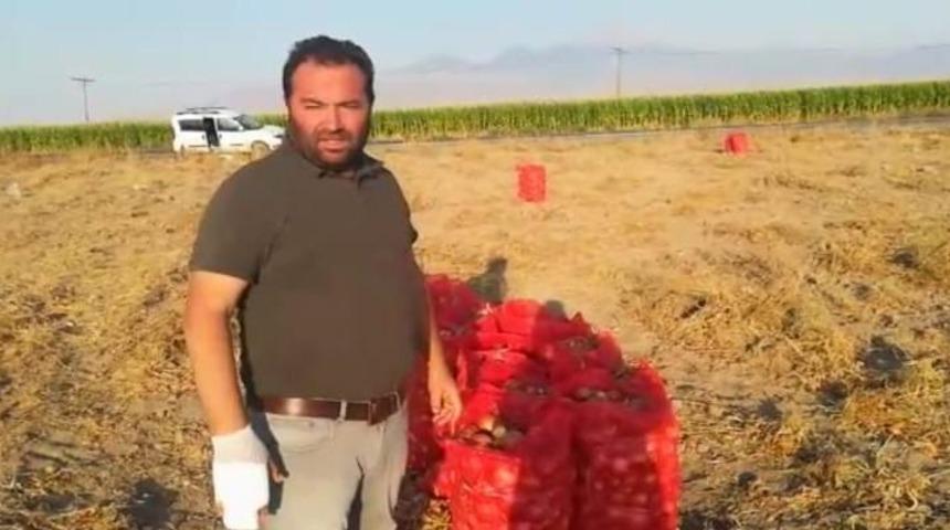 Yeşilhisar&rsquo;dan &Ccedil;orum soğanına rakip &ccedil;ıktı