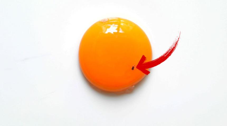 Yumurta hakkında bilinmeyenler! Kan lekesi varsa...