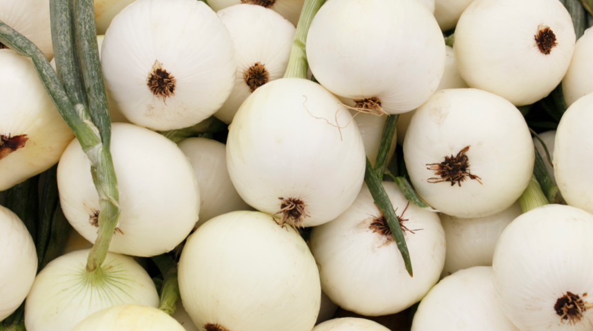 Soğan reklamı 'çok seksi' bulundu Facebook yasakladı