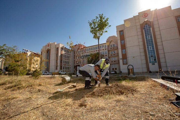 İpekyolu Belediyesi Bakan Selçuk’un çağrısına kayıtsız kalmadı G1