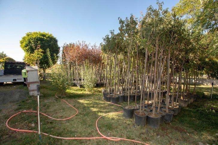 İpekyolu Belediyesi Bakan Selçuk’un çağrısına kayıtsız kalmadı G3
