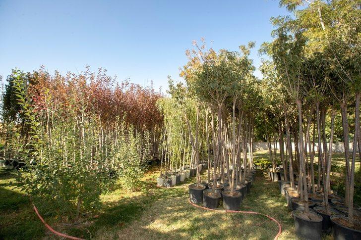 İpekyolu Belediyesi Bakan Selçuk’un çağrısına kayıtsız kalmadı G5